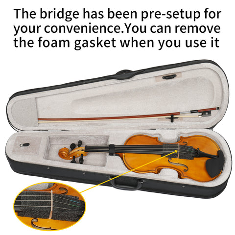 Violin Set for Adults Beginners Students with Hard Case