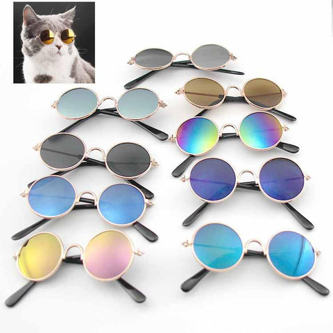 Cat Sunglasses