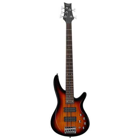 Laurel Wood Fingerboard Electric Bass Guitar