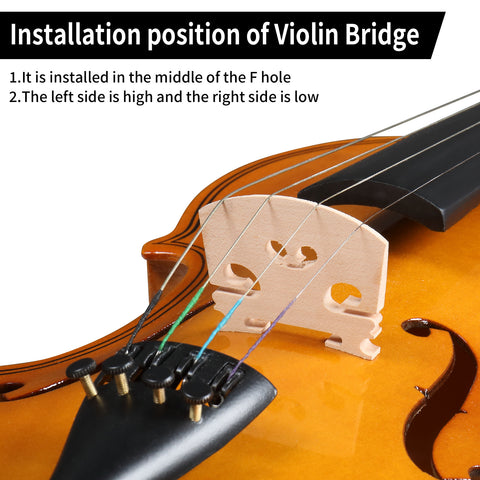 Violin Set for Adults Beginners Students with Hard Case