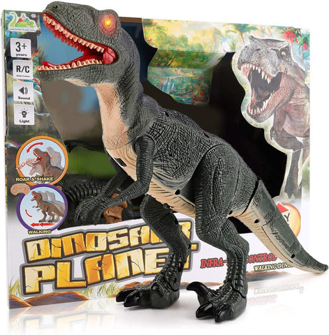 Remote Control R/C Walking Dinosaur Toy